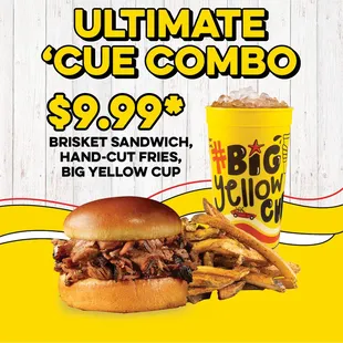 ONLY FOR $9.99