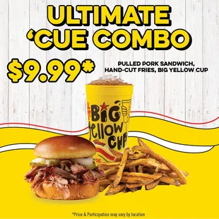 ONLY FOR $9.99