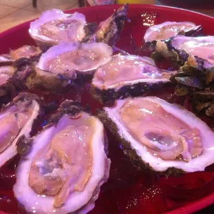 Raw Oyster