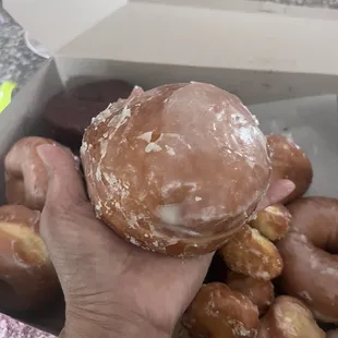 Lookit the size of this jelly filled donut