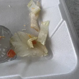 Chunks of brown lettuce in my salad