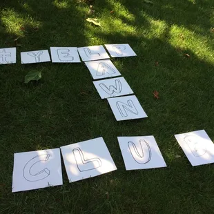 Lawn scrabble