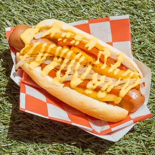 Diggy Dogs