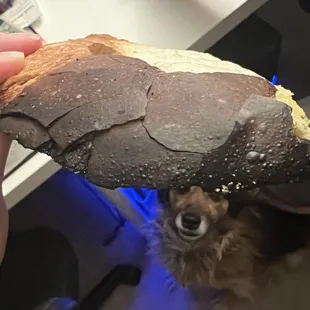 Garlic bread was a little too well done for my taste