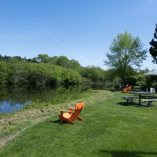 View of Mercer Slough waterscape beside the Dilettante Mocha Café