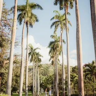 Amber Garrett Photography