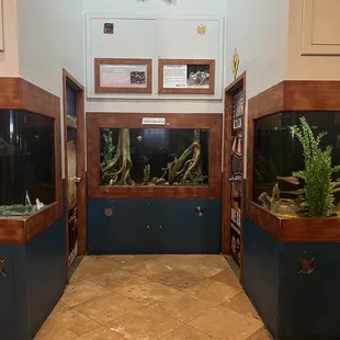 a fish tank and aquarium