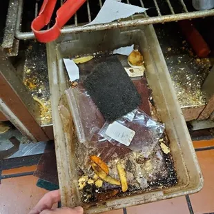 a person holding a tray of food