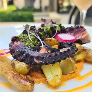 Octopus