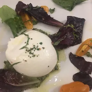 Burrata