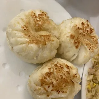 Pan Fried Vegetable Potstickers