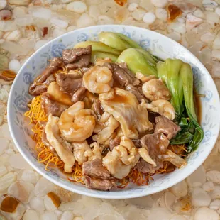 Combination Pan Fried Noodles