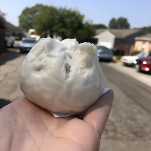 Pork bao