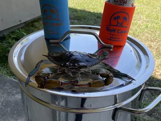 Gulf Coast Spirits