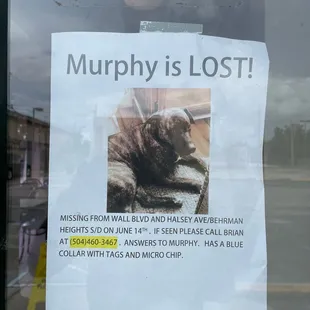 Murphy is lost.
