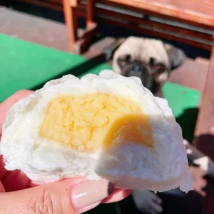 Steamed Custard Bun (aka nai wong bao, 奶黄包); Pretty good, bun is fluffy and light.