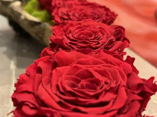 Bread & Roses