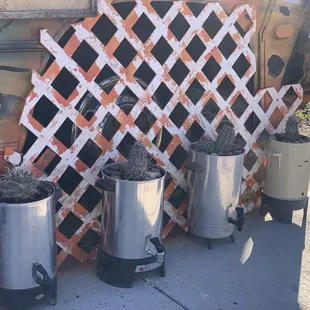 Love their planters!