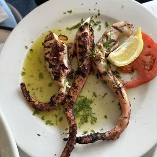 Grilled Octopus