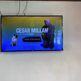 One of the many TV's