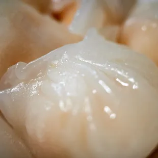 Shrimp Dumplings