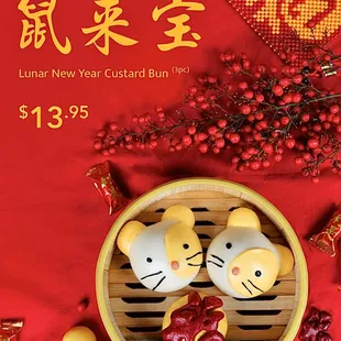 New Year Special!