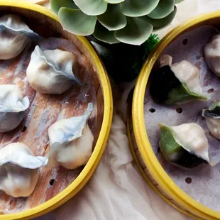 food, oysters and mussels, mussels, shellfish, oysters