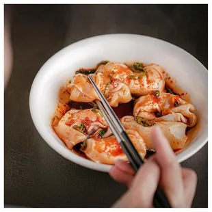 Shrimp and Pork Wontons