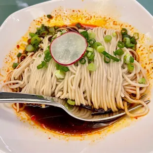 Spicy Noodles