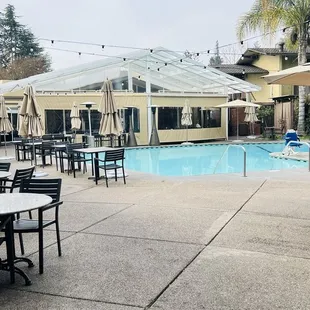 Poolside