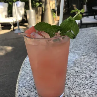 Watermelon Mojito