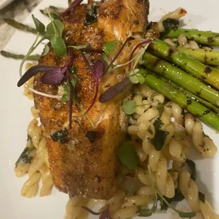 Salmon