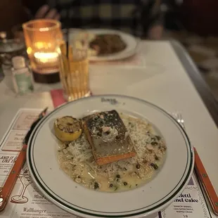Steelhead Trout