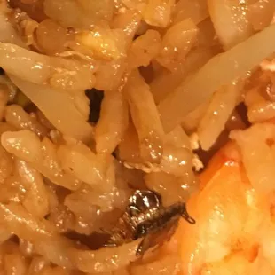 A BIG ROACH in my strimp fried rice. Nasty!!