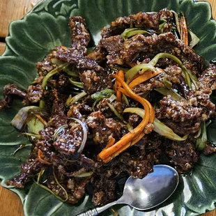 Shredded Crispy Steak