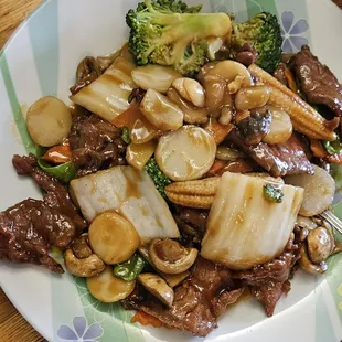 Beef with Garden Vegetables
