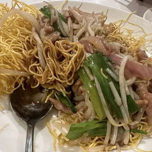 Stir Fried Noodles