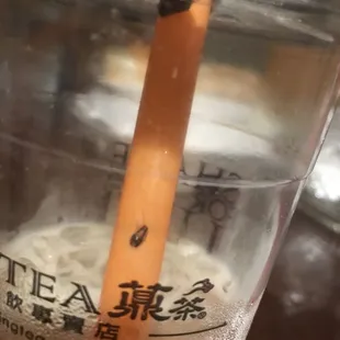 A roach