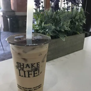 Hokkaido Oolong Milk Tea