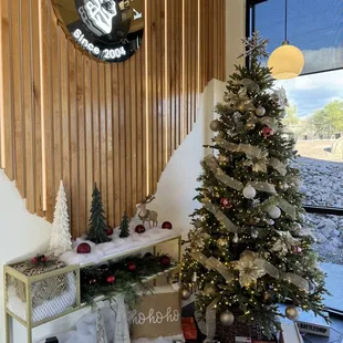 a decorated christmas tree in front of a window