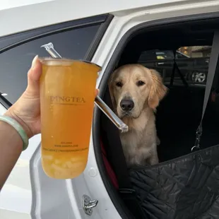 Passion fruit green tea with lychee jelly - Denver approves