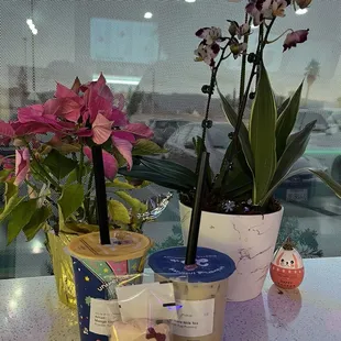 Hello Kitty Mango Macaroon, Mango Yogurt with Boba, Signature Milk Tea with Egg Pudding