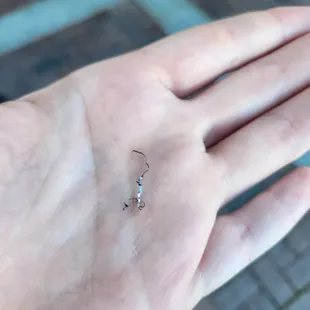 a tiny insect on a persons hand