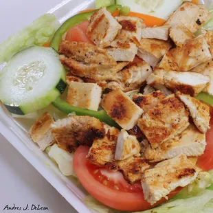 Chicken Salad