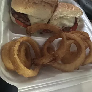 Italian Sub and Onion Rings