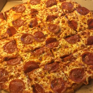 Pepperoni Pizza w/ Oregano!  Mmmmmm!