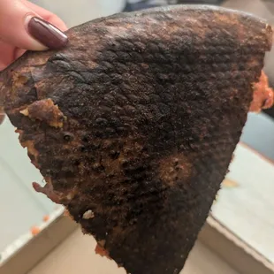 The burnt pizzas from Dinosin Burbank
