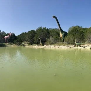 The lake in the center of the park