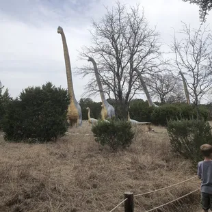 Life size dinosaurs