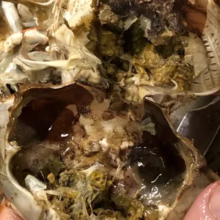 Gross, lumpy blackish mustard